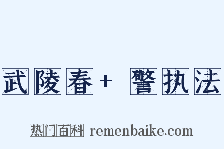 武陵春+警执法是什么意思的图片